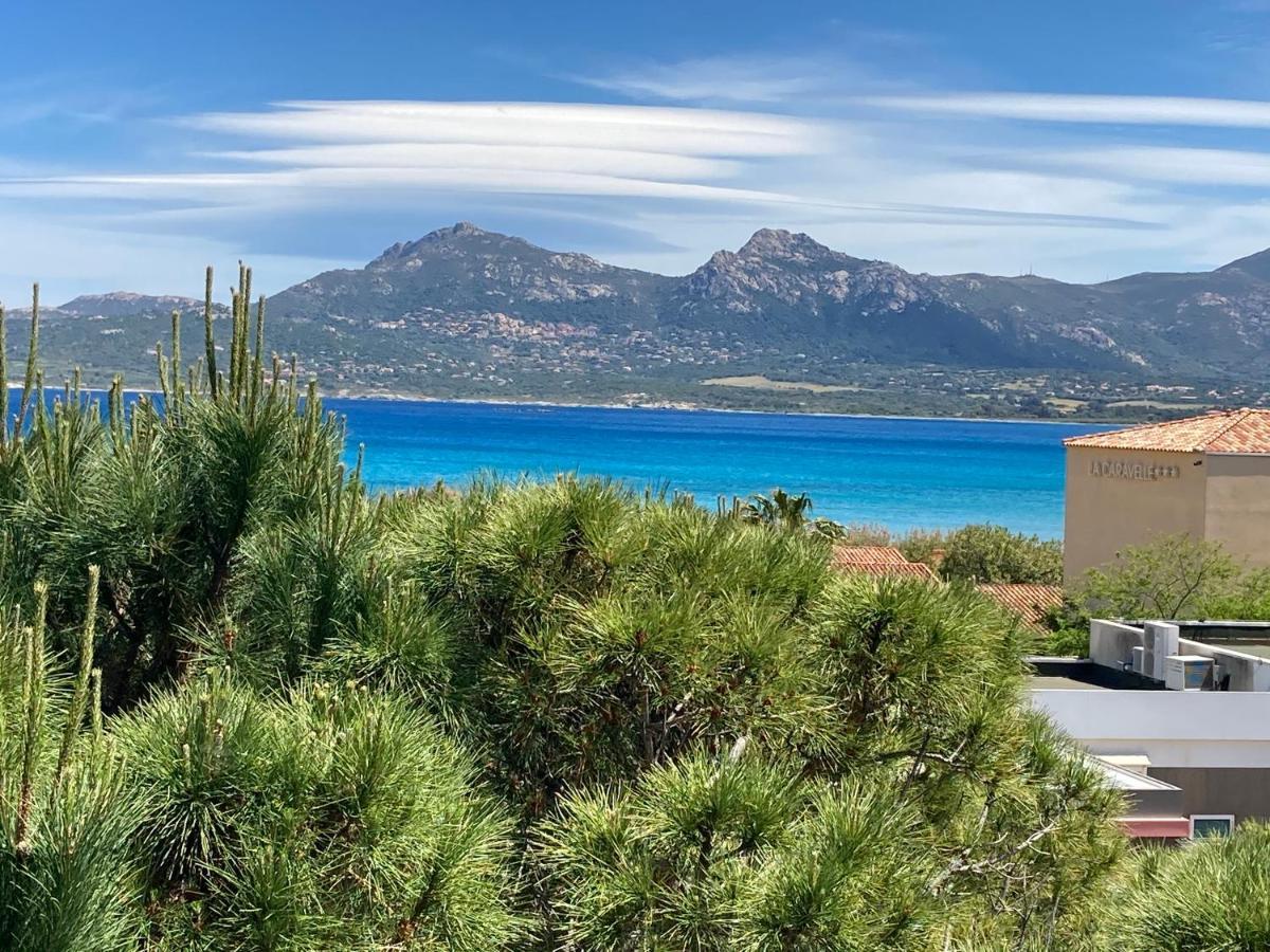 Corse Calvi Appt Cote Mer Kültér fotó