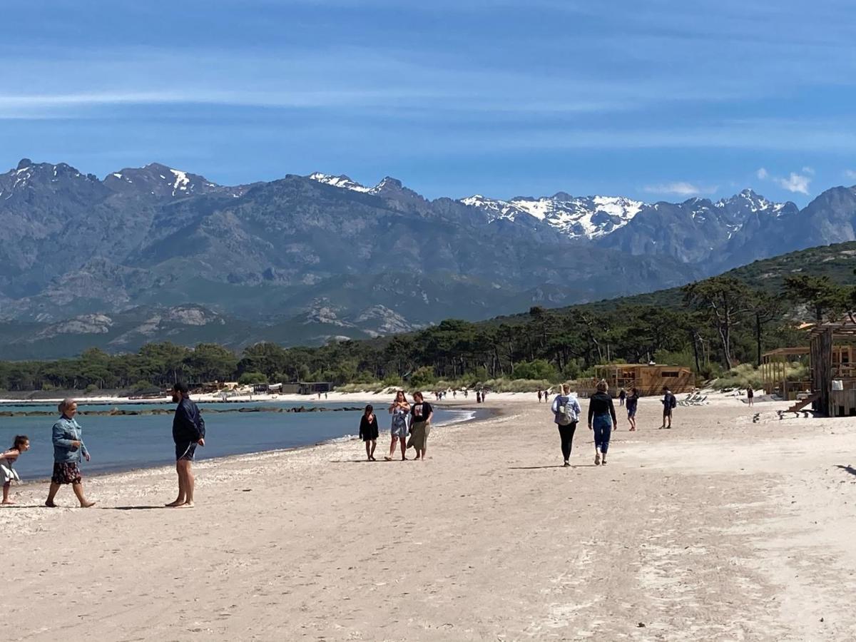 Corse Calvi Appt Cote Mer Kültér fotó