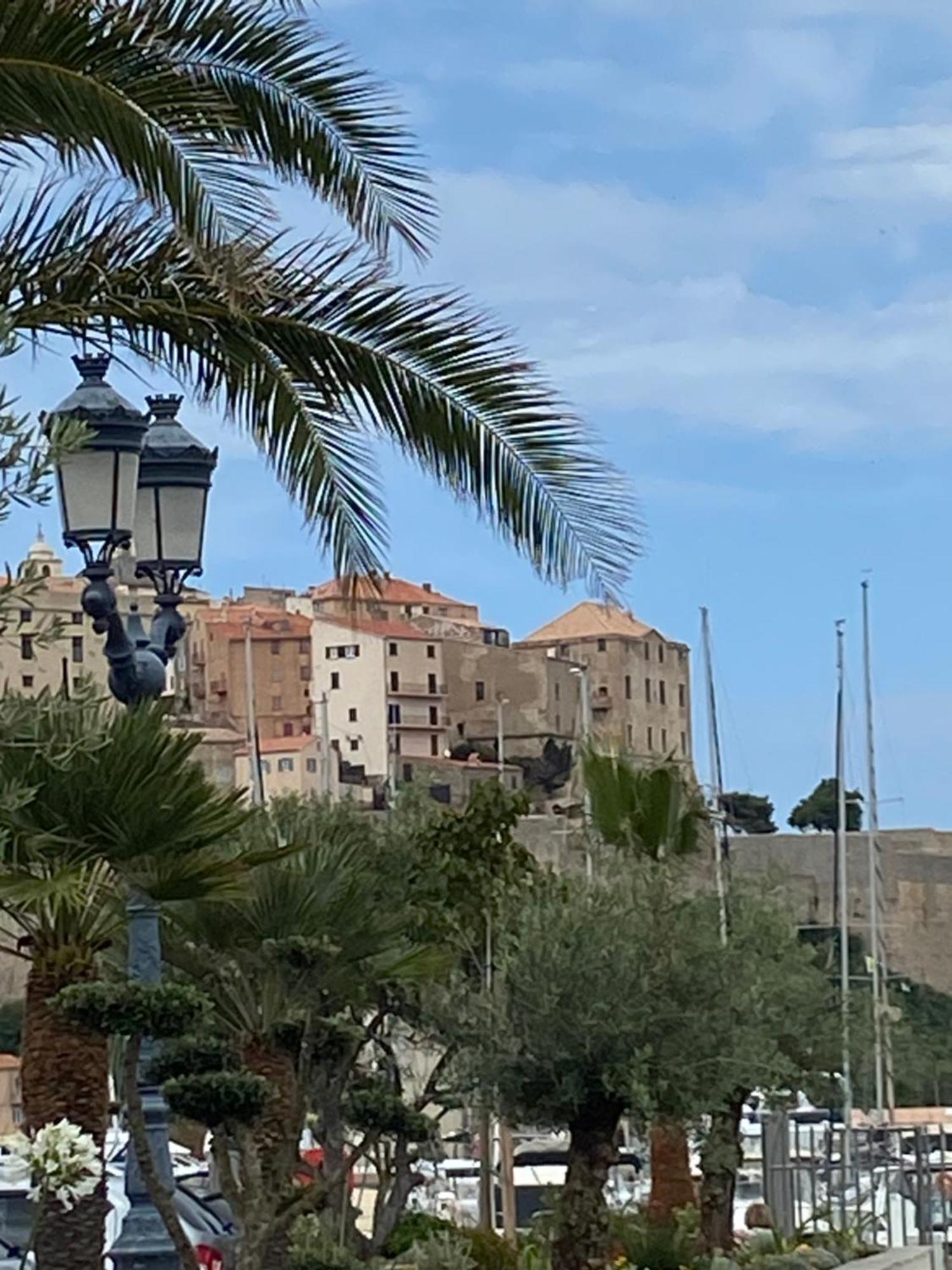 Corse Calvi Appt Cote Mer Kültér fotó